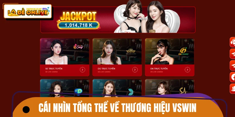 Cái nhìn tổng thể về thương hiệu VSWIN