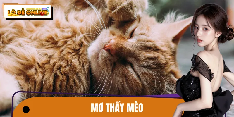 Mơ Thấy Mèo Báo Hiệu Điềm Gì? Giải Mã Lô Đề Online Chuẩn