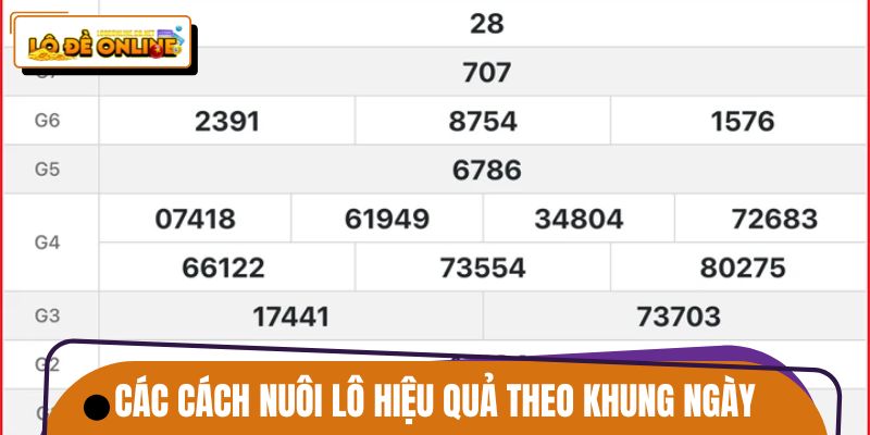 Chia sẻ các cách nuôi lô hiệu quả theo từng khung ngày